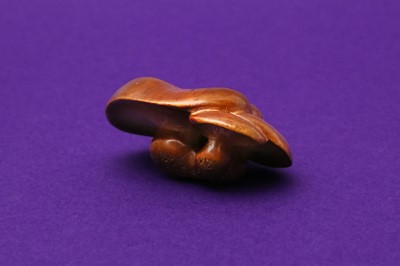 Lot 1024 - A JAPANESE WOOD MUSHROOM GROUP NETSUKE