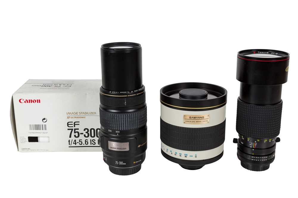Lot 307 - A Selection of Canon Telphoto Zoom Lenses.