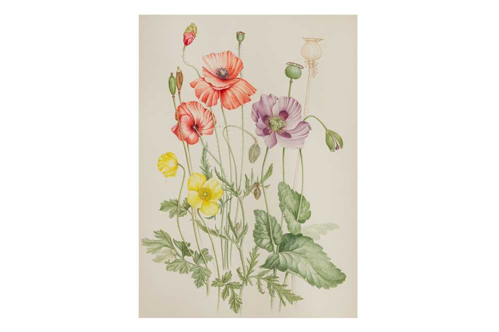 Lot 165 - MARY GRIERSON (BRITISH 1912-2012)