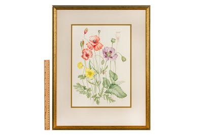 Lot 165 - MARY GRIERSON (BRITISH 1912-2012)