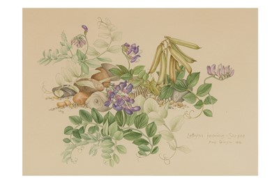 Lot 165 - MARY GRIERSON (BRITISH 1912-2012)