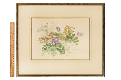 Lot 165 - MARY GRIERSON (BRITISH 1912-2012)