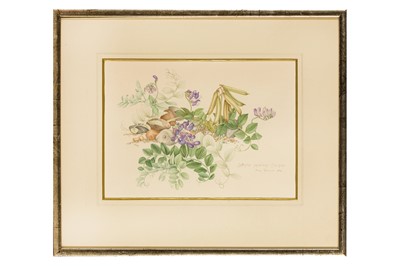 Lot 165 - MARY GRIERSON (BRITISH 1912-2012)