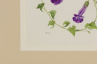 Lot 166 - MARY GRIERSON (BRITISH 1912-2012)