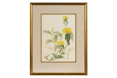 Lot 166 - MARY GRIERSON (BRITISH 1912-2012)