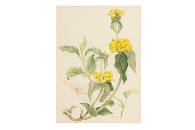 Lot 166 - MARY GRIERSON (BRITISH 1912-2012)