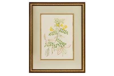 Lot 166 - MARY GRIERSON (BRITISH 1912-2012)