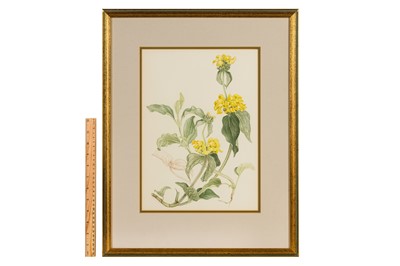 Lot 166 - MARY GRIERSON (BRITISH 1912-2012)