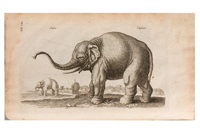 Lot 88 - Johnston.  A Description Of the Nature Of Four-Footed Beasts, 1678