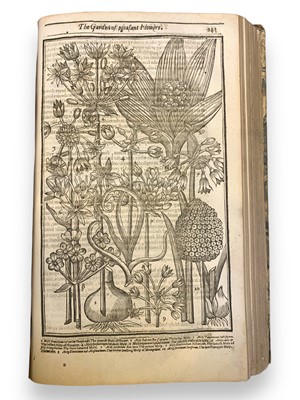 Lot 83 - Gardening.- John Parkinson