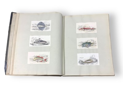 Lot 173 - Jardine (Sir William) Ichthyological Illustrations to Sir William Jardine’s Naturalist’s Library. British & Foreign