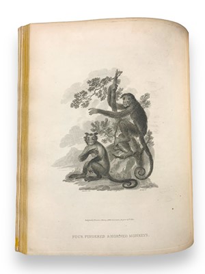 Lot 178 - Tookey (James) & Ibbetson (Julius Caesar, illustrator) Selections from Animated Nature