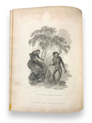 Lot 178 - Tookey (James) & Ibbetson (Julius Caesar, illustrator) Selections from Animated Nature