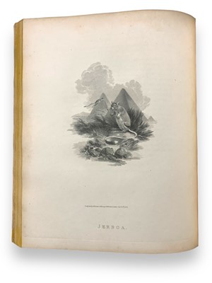 Lot 178 - Tookey (James) & Ibbetson (Julius Caesar, illustrator) Selections from Animated Nature