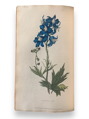 Lot 161 - Flora.- Morris (Richard) Flora Conspicua