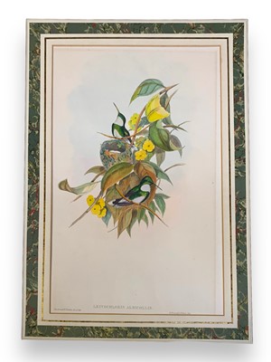 Lot 85 - Gould (John)