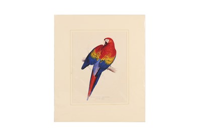 Lot 249 - EDWARD LEAR (1812 - 1888)