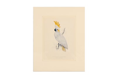 Lot 249 - EDWARD LEAR (1812 - 1888)