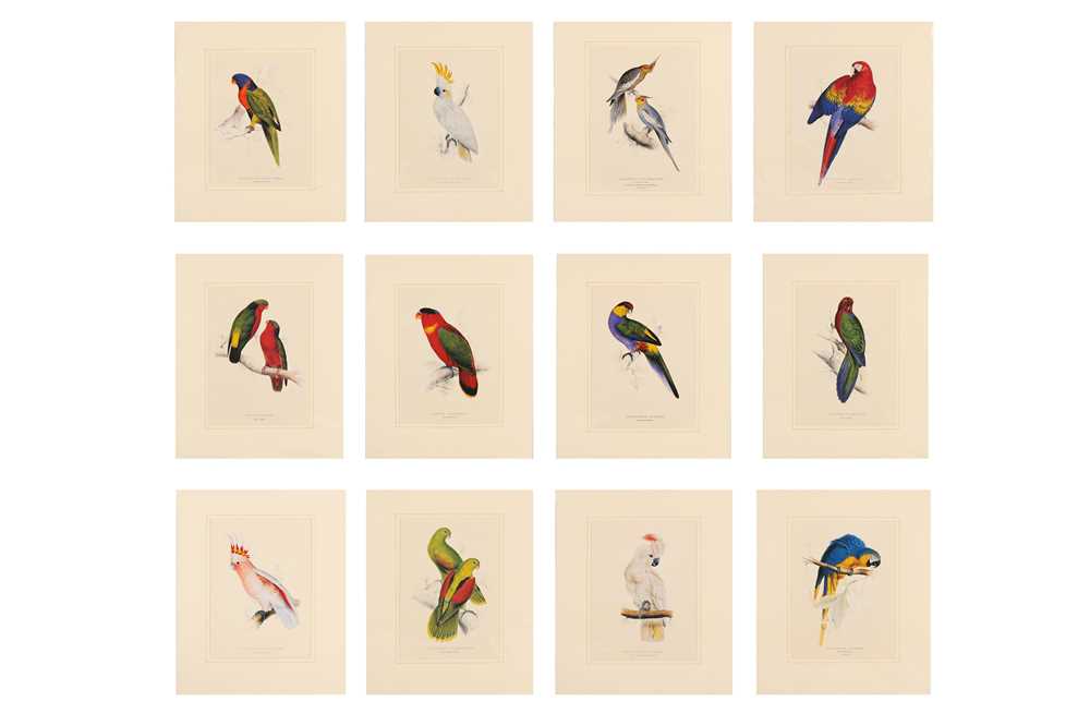 Lot 249 - EDWARD LEAR (1812 - 1888)