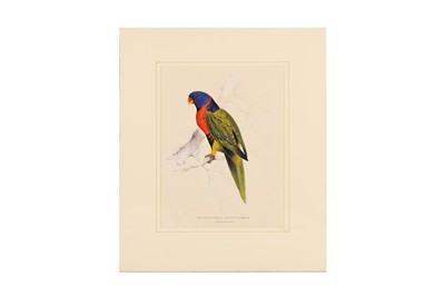 Lot 249 - EDWARD LEAR (1812 - 1888)