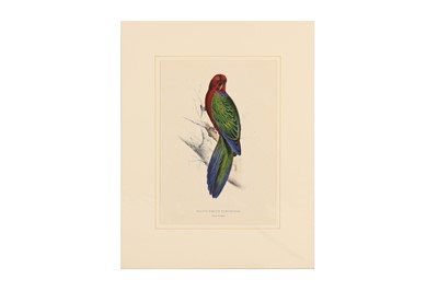Lot 249 - EDWARD LEAR (1812 - 1888)