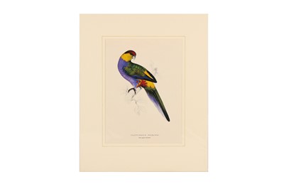 Lot 249 - EDWARD LEAR (1812 - 1888)