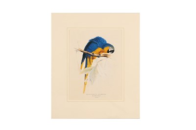 Lot 249 - EDWARD LEAR (1812 - 1888)