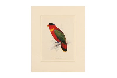 Lot 249 - EDWARD LEAR (1812 - 1888)