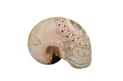 Lot 225 - A GROUP OF SEVEN DECORATED SHELLS