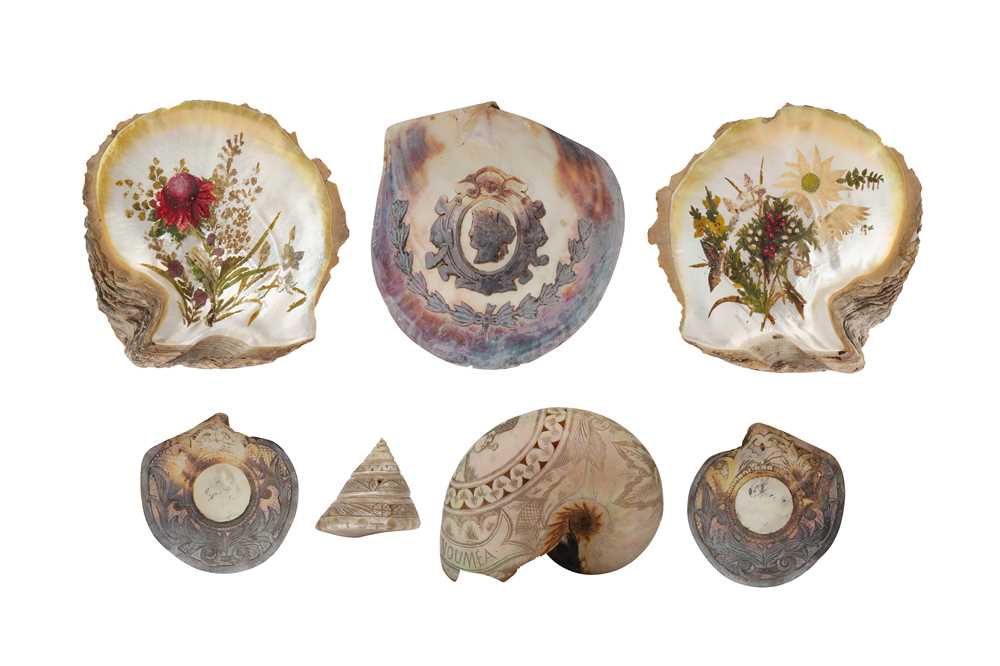 Lot 225 - A GROUP OF SEVEN DECORATED SHELLS