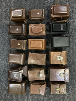Lot 221 - A Large selection of TLR Cases.
