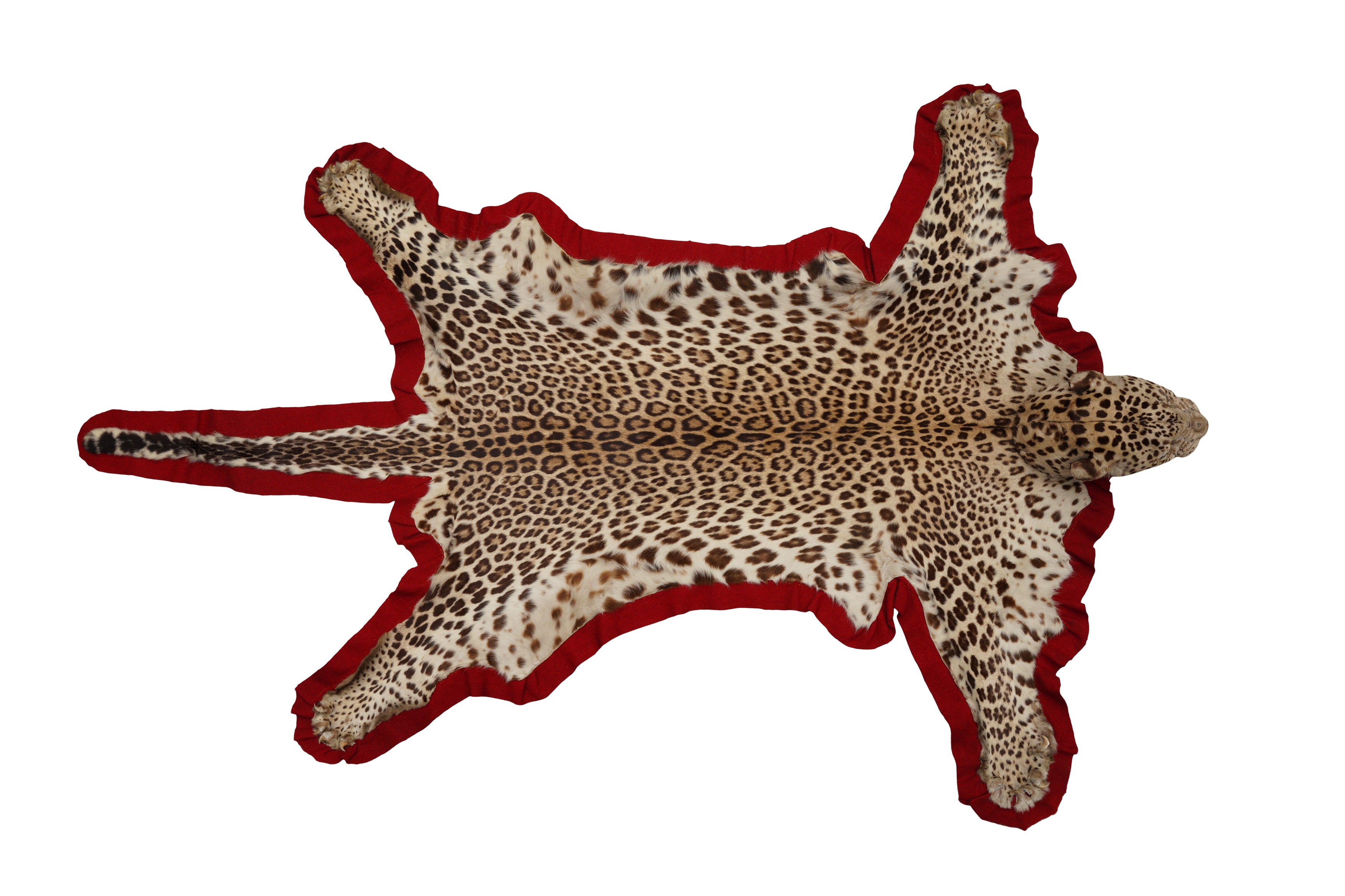 Lot 435 - A TAXIDERMY INDIAN LEOPARD SKIN RUG