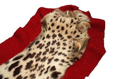 Lot 435 - A TAXIDERMY INDIAN LEOPARD SKIN RUG (PANTHERA PARDIUS FUSCA) CIRCA 1930