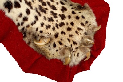 Lot 435 - A TAXIDERMY INDIAN LEOPARD SKIN RUG (PANTHERA PARDIUS FUSCA) CIRCA 1930