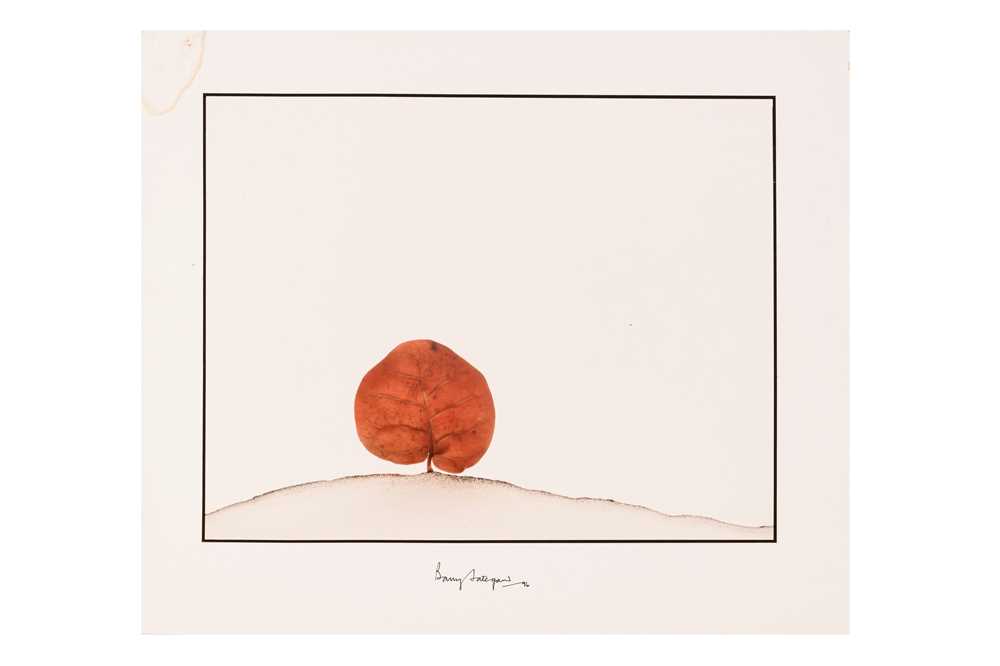 Lot 489 - Barry Lategan (b.1935)