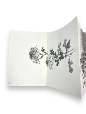 Lot 179 - Limited Editions: M. Helen. Tongue, Bushman Paintings