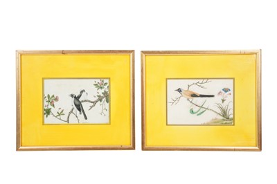 Lot 246 - FOUR CHINESE RICE PAPER PAINTINGS