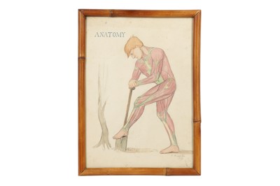 Lot 342 - A SET OF THREE EARLY 20TH CENTURY ANATOMICAL STUDIES
