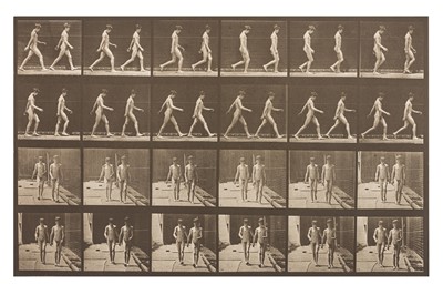 Lot Eadweard Muybridge (1830-1904)