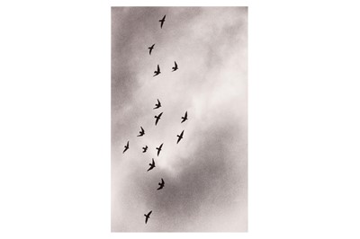 Lot 241 - BRITISH PHOTOGRAPHY - Z15 (30X30)