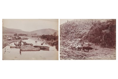 Lot 101 - NEW ZEALAND MINING & TIMBER INDUSTRY, early 20th century.