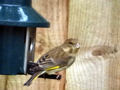 Lot 221 - A Nikon Coolpix P1000 Pro Digital Bridge Camera.