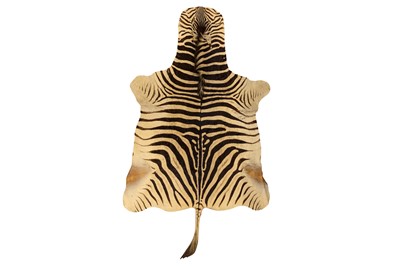 Lot 502 - A LARGE ZEBRA (EQUUS QUAGGA) FLAT SKIN RUG