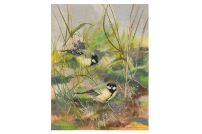 Lot 179 - A COLLECTION OF FOUR BIRD STUDIES BY VARIOUS ARTISTS