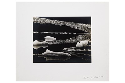 Lot 230 - Brett Weston (1911-1993)
