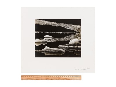 Lot 230 - Brett Weston (1911-1993)