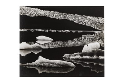 Lot 315 - Brett Weston (1911-1993)