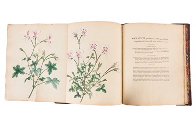Lot 102 - Andrews. Geraniums 1805