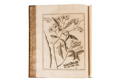 Lot 109 - Breyne, Jakob.  Prodromi fasciculi rariorum plantarum primus et secundus 1739