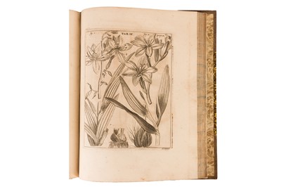 Lot 109 - Breyne, Jakob.  Prodromi fasciculi rariorum plantarum primus et secundus 1739